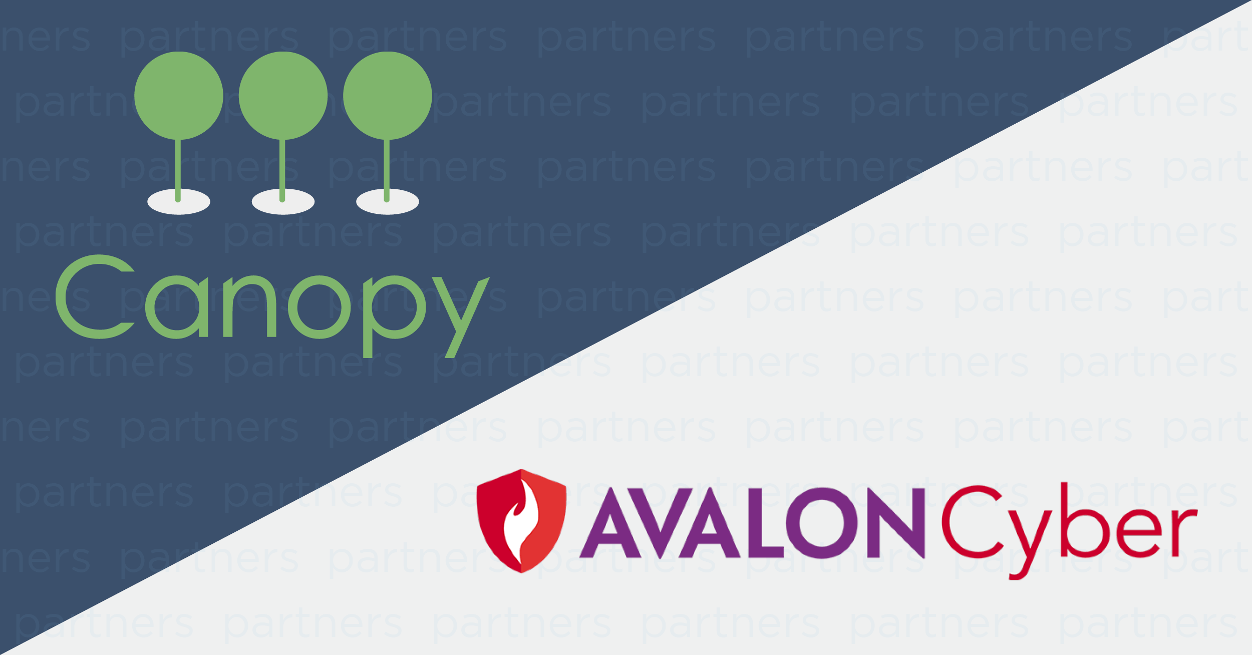Avalon Cyber, a Canopy Software Partner